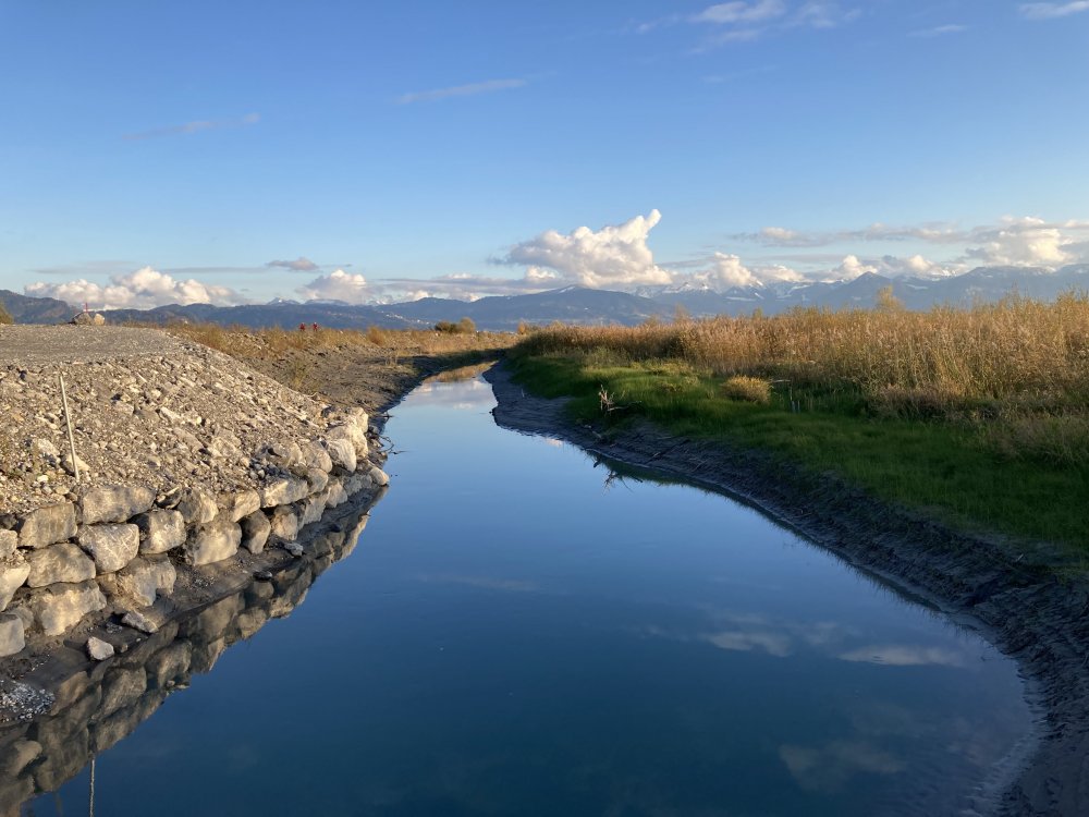 img-https://rheinregulierung.vitamin2.digital/media/pages/service/news-overview/bahn-frei-fuer-die-fische/d81c17039d-1741016874/img_2125.jpg