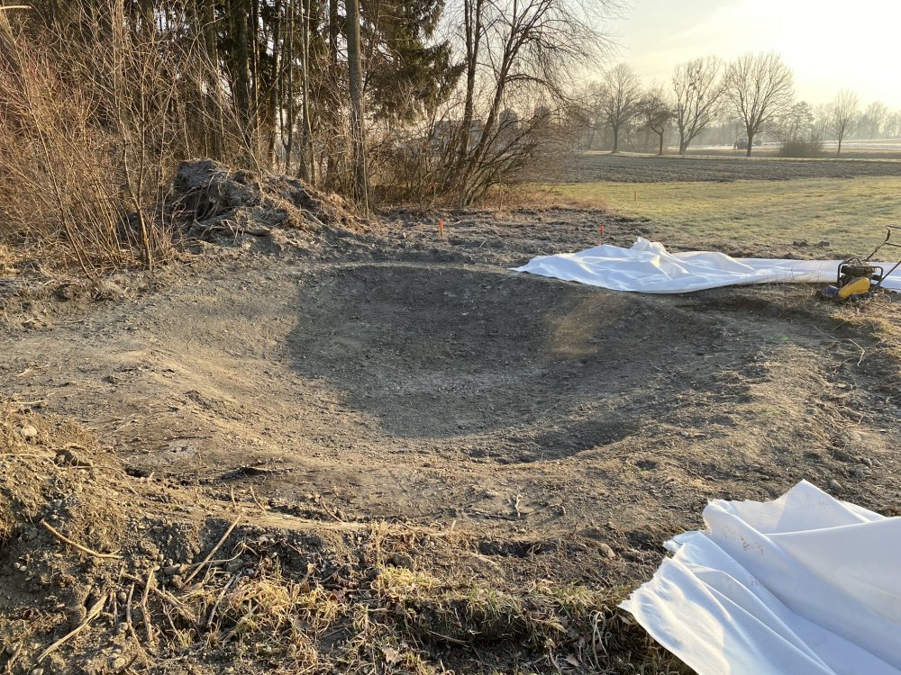 img-https://rheinregulierung.vitamin2.digital/media/pages/service/news-overview/ein-paradies-fuer-frosch-und-libelle/810b9b7337-1741016879/img_2593.jpeg
