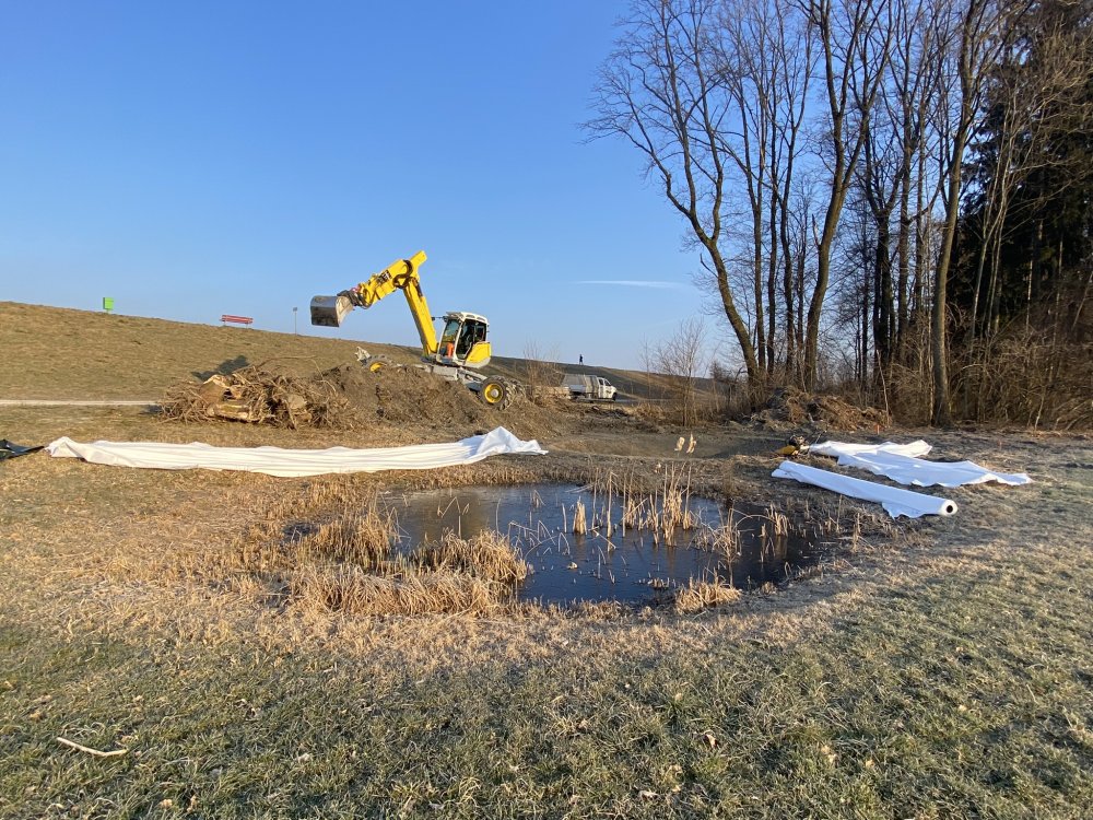img-https://rheinregulierung.vitamin2.digital/media/pages/service/news-overview/ein-paradies-fuer-frosch-und-libelle/ada73871b7-1741016881/img_2600.jpeg
