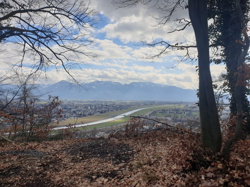 img-https://rheinregulierung.vitamin2.digital/media/pages/service/news-overview/einblick-in-das-nadeloehr/217601d723-1741016843/engstelle.jpg