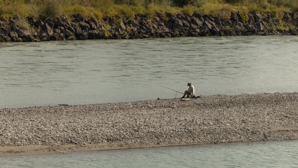 img-https://rheinregulierung.vitamin2.digital/media/pages/service/news-overview/hobby-wandern/6711257602-1741016837/2021-09-07rh4d1a6709.jpg
