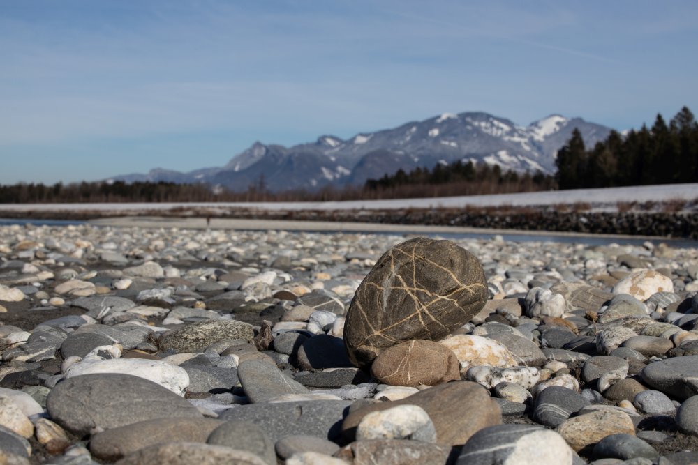 img-https://rheinregulierung.vitamin2.digital/media/pages/service/news-overview/hobby-wandern/9c0d8cb257-1741016838/2021-02-14rh4d1a1612.jpg