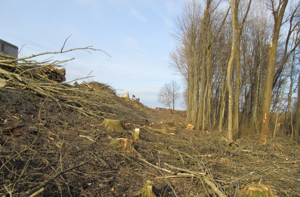 img-https://rheinregulierung.vitamin2.digital/media/pages/service/news-overview/holzschlag-in-diepoldsau/d66028398a-1741016863/web_2.jpg