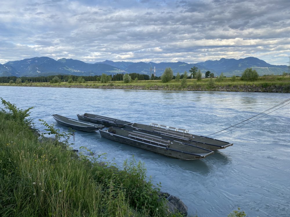 img-https://rheinregulierung.vitamin2.digital/media/pages/service/news-overview/pontontiere-zentimetergenau-im-rhein-navigieren/88019482a9-1741016799/img_1434.jpg